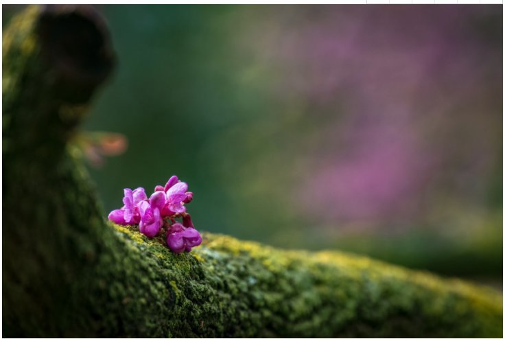 首页| PP电子游戏中国区官方网站