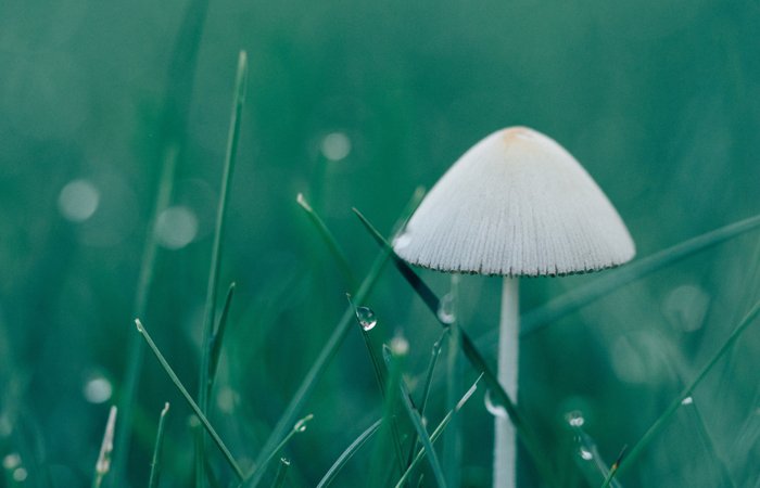 首页| PP电子游戏中国区官方网站